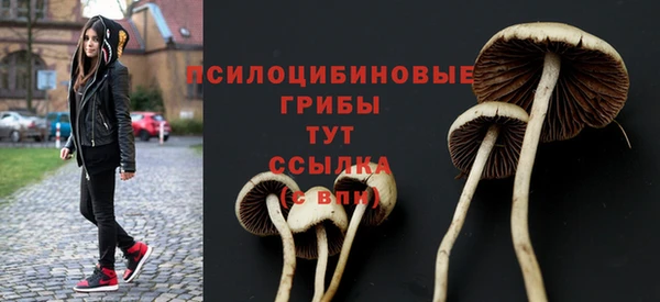 COCAINE Алзамай
