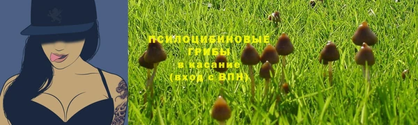 кокс Алексеевка